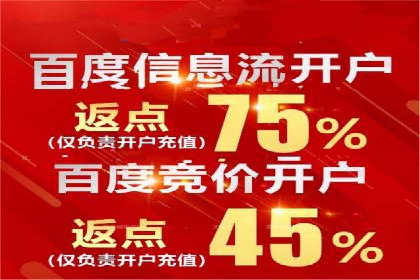 XX行业竞价广告的投放策略与效果分析